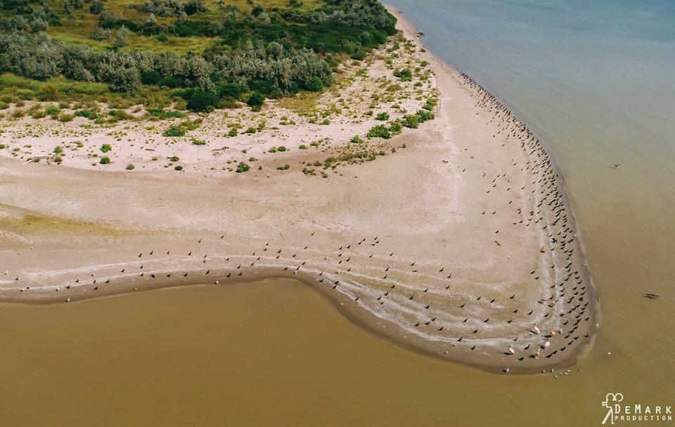Готель Baza Otdyha Primor'E Приморське Екстер'єр фото